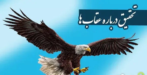 عکس عقاب صفحه گوشی
