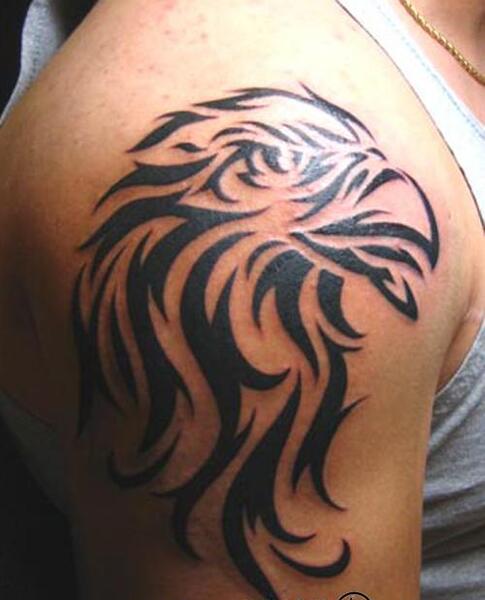 عکس تاتو عقاب روی پشت