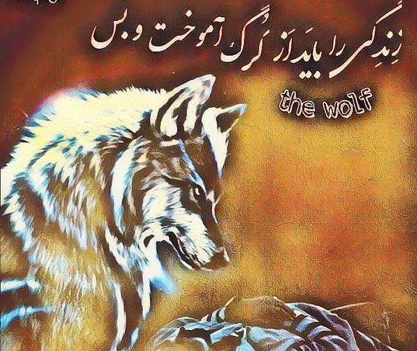 عکس عاشقانه گرگ و دختر