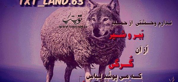 عکس عاشقانه گرگ و دختر