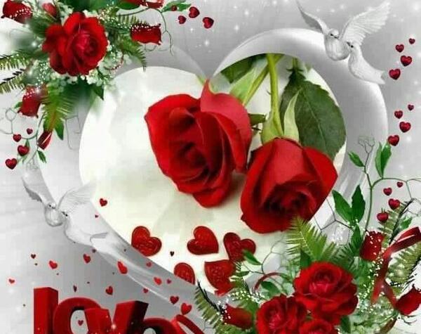 عکس گل های عاشقی