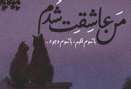 عکس پروفایل عاشق شدن
