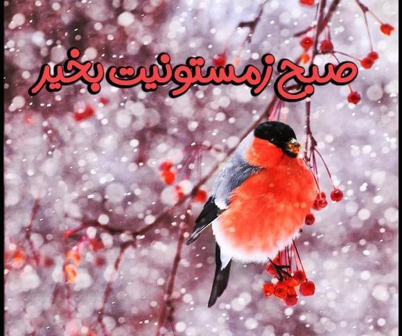 عکس صبح بخیر عاشقانه زمستانی