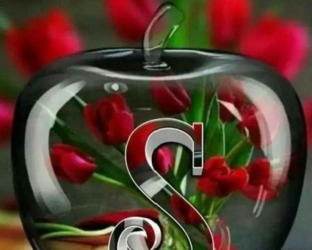 عکس عاشقانه به حرف s