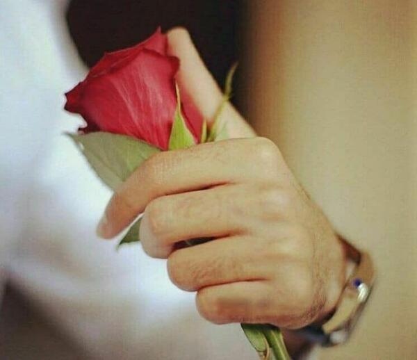عکس های گل عاشقی