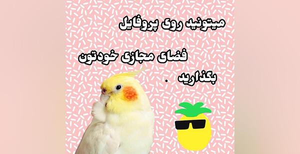 عکس عروس هلندی کارتونی برای پروفایل