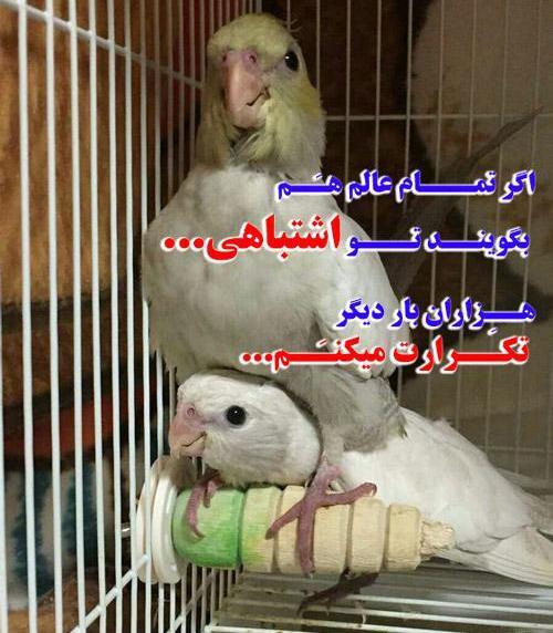 عکس عروس هلندی فانتزی برای پروفایل