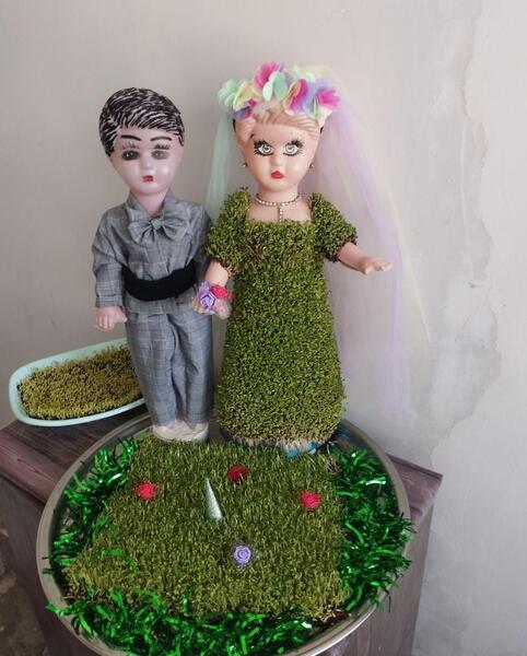 عکس سبزه عروس داماد