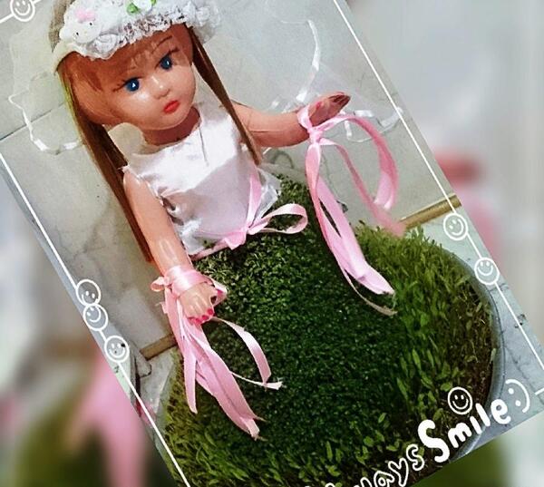 عکس سبزه عروس داماد