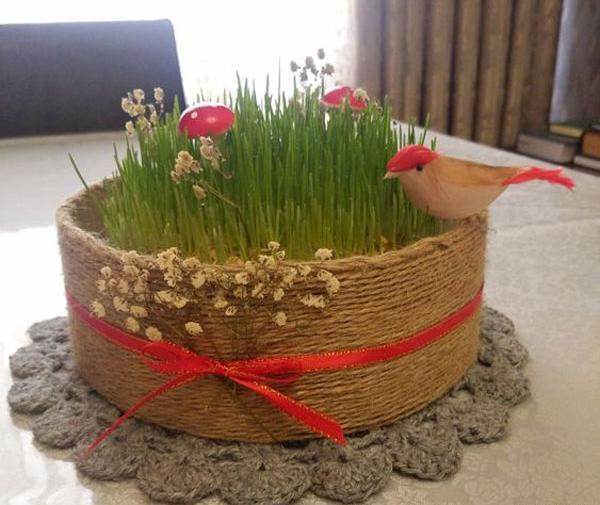عکس سبزه عروس داماد