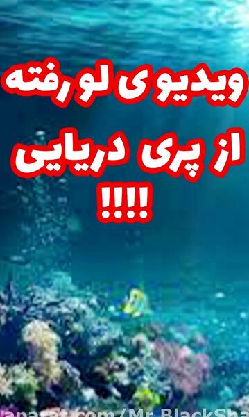 عکس عروس دریایی واقعی در دریا
