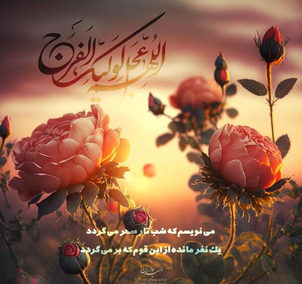 عکس یک نفر مانده ازین قوم که برمیگردد