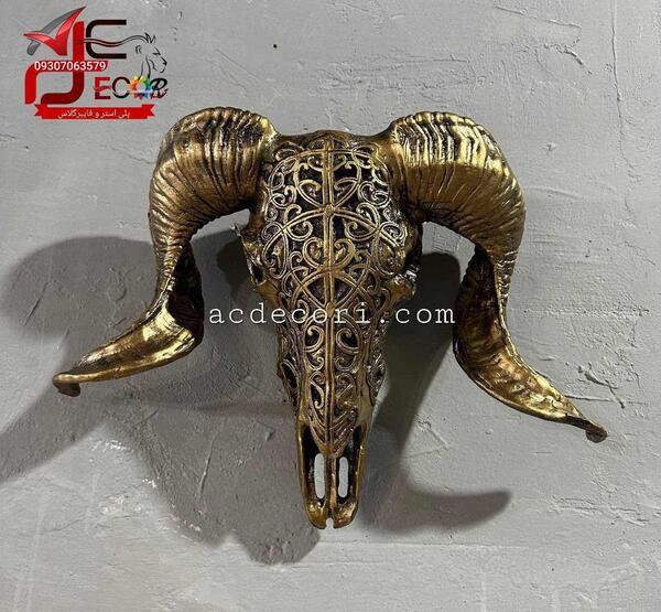 عکس کله قوچ