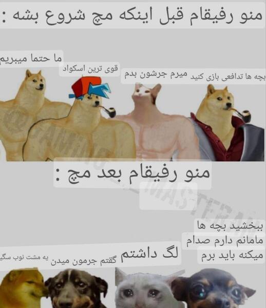 عکس بچه های قو