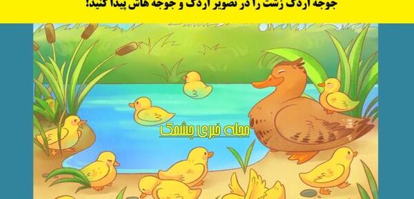 عکس قو و بچه هاش