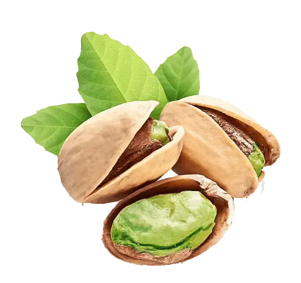 عکس کله قوچی