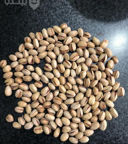 عکس کله قوچی