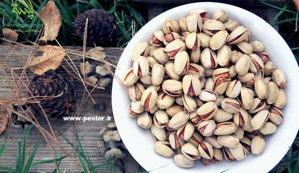 عکس کله قوچی