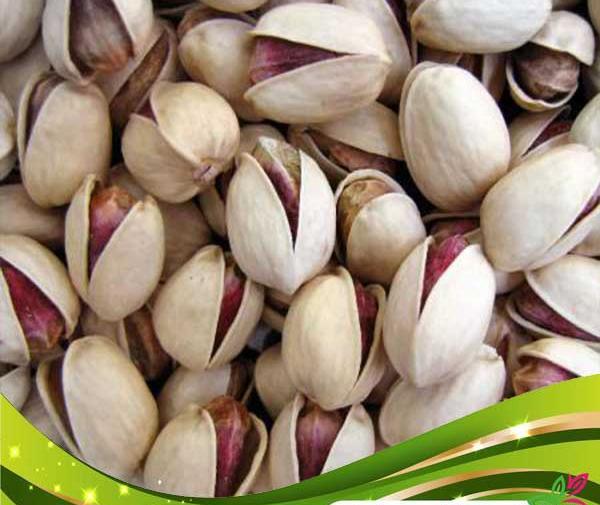 عکس کله قوچی
