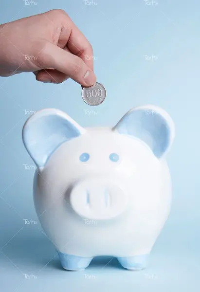 عکس قلک خوکی