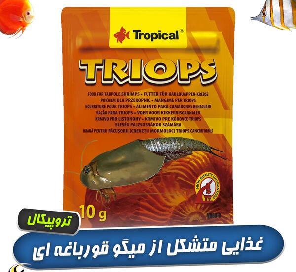 عکس معجزه گر قورباغه