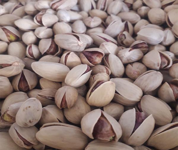 عکس پسته کله قوچی