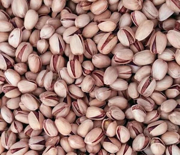 عکس پسته کله قوچی