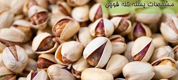 عکس پسته کله قوچی