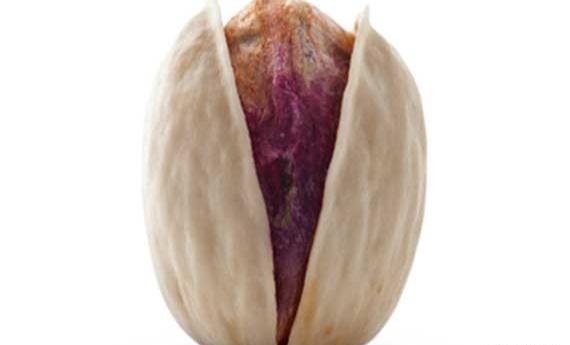 عکس پسته کله قوچی