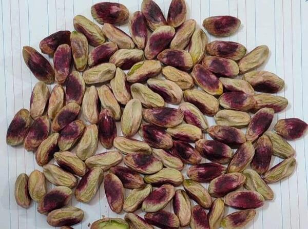 عکس ماهی کله قوچی