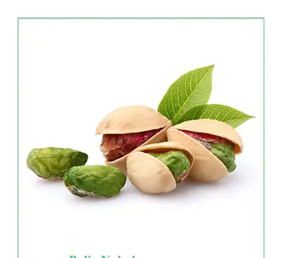 عکس درخت پسته کله قوچی