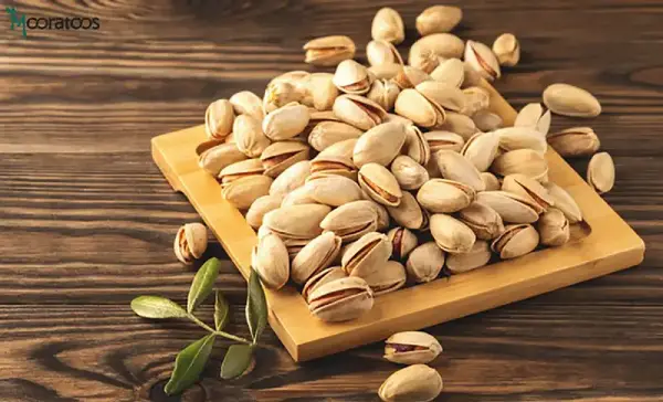 عکس درخت پسته کله قوچی
