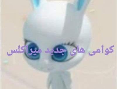 عکس کوامی قورباغه