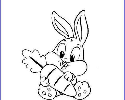 عکس نقاشی قوقولی