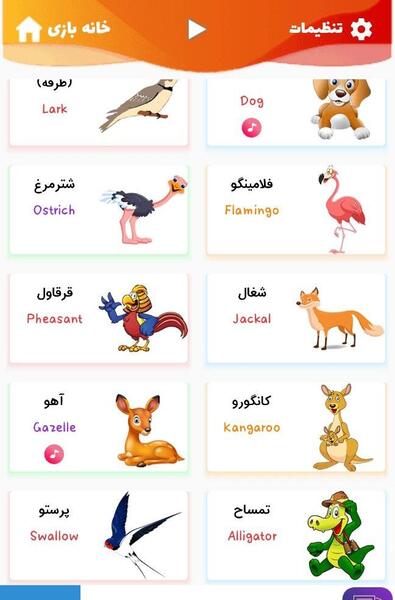 عکس قوقولی قوقو