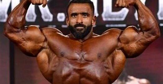 عکس عکس قوی ترین حیوان