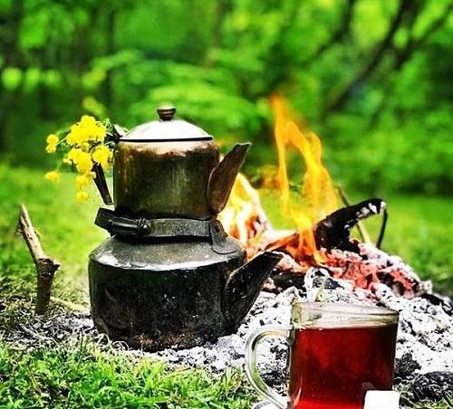 عکس عکس قوری