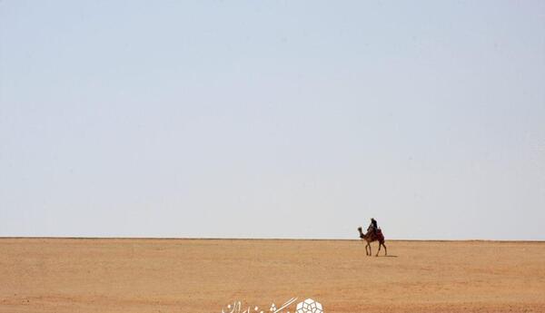 عکس عکس قوی