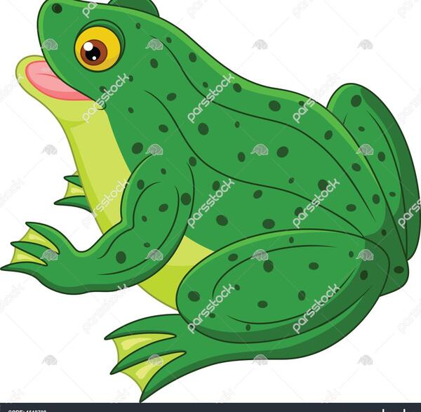عکس عروسی قورباغه