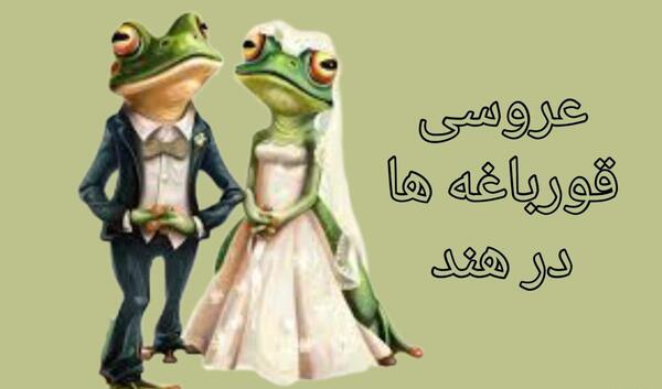 عکس عروسی قورباغه