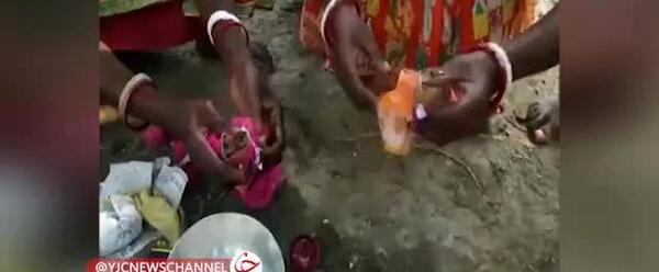 عکس عروسی قورباغه ها در هند