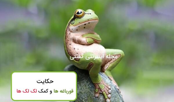 عکس عروسی قورباغه ها در هند