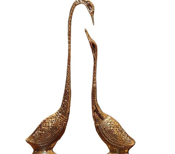 دانلود عکس قو عاشق