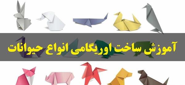 عکس مراحل ساخت قورباغه کاغذی