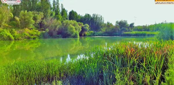 عکس شهر قوشاچای