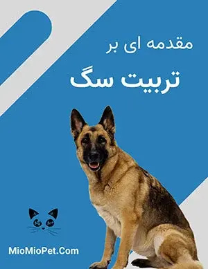 عکس قوی ترین سگ