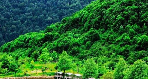 عکس دریاچه قو رامسر