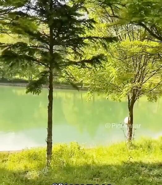 عکس دریاچه قو رامسر
