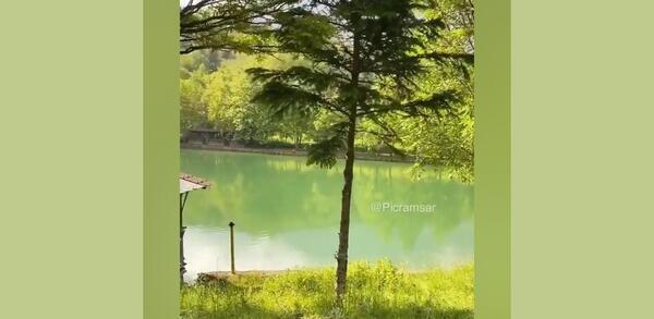 عکس دریاچه قو رامسر