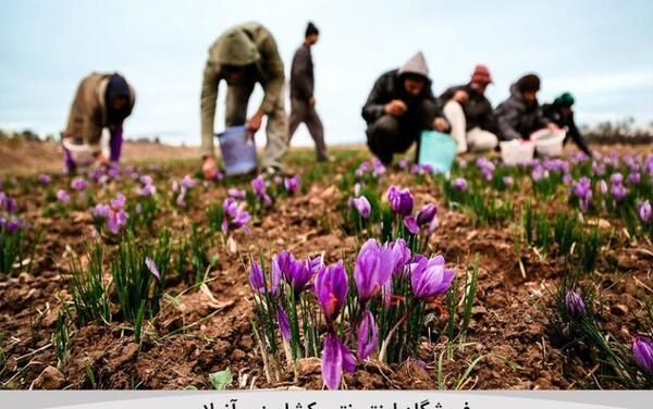 عکس دختر روی قوطی روغن نباتی بهار